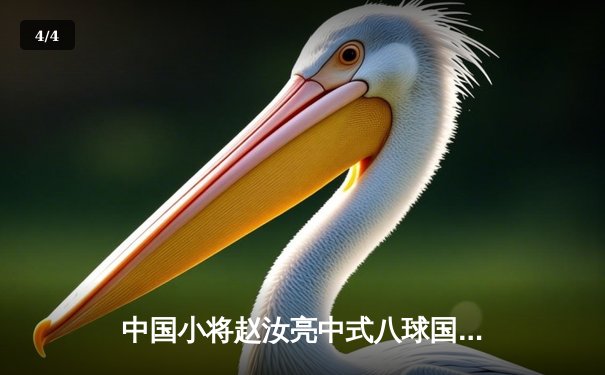 中国小将赵汝亮中式八球国际大师赛夺冠 决胜局绝杀老将波茨 - 4